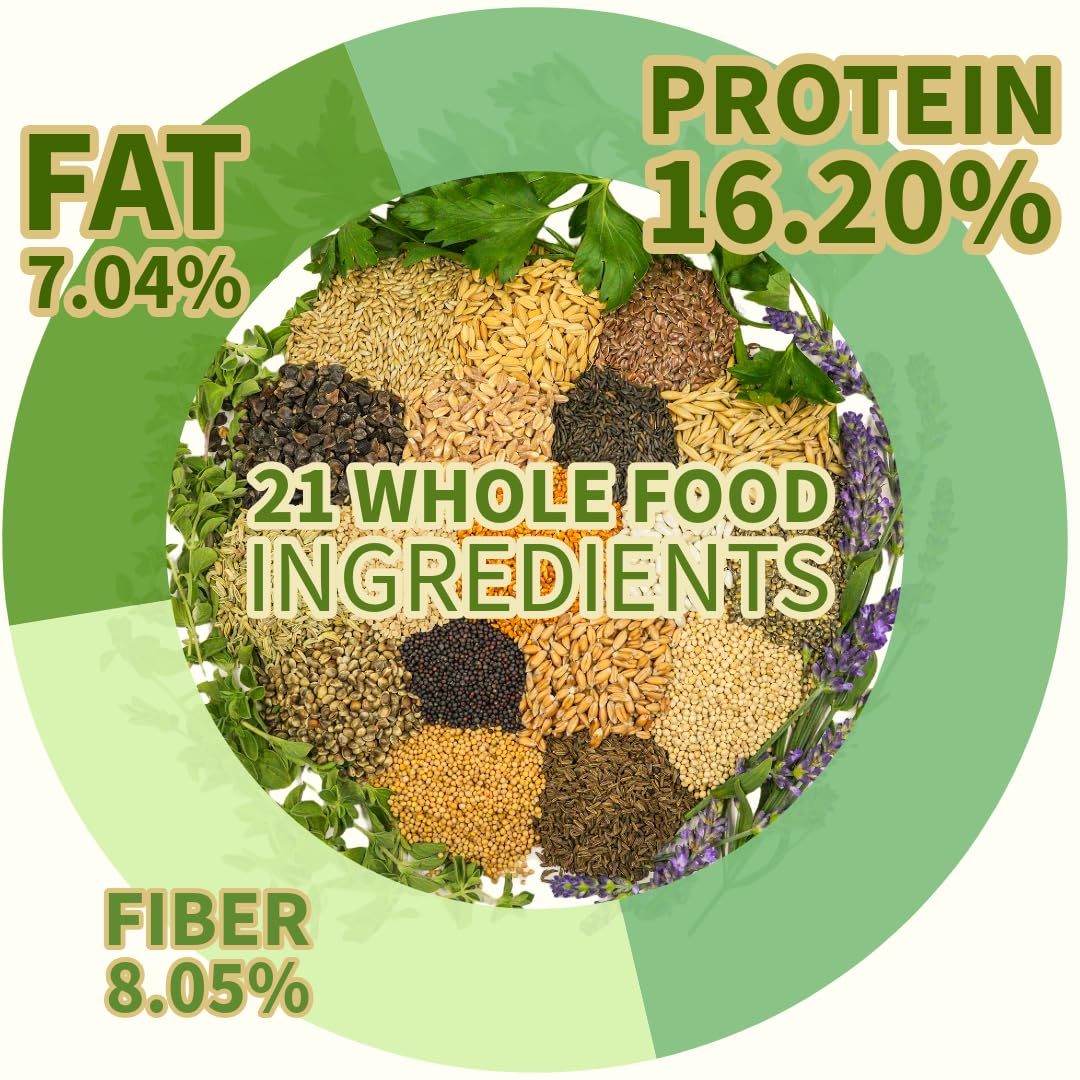 KikiBirds Premium Parrot Food no-fillers close-up highlights pure ingredients.