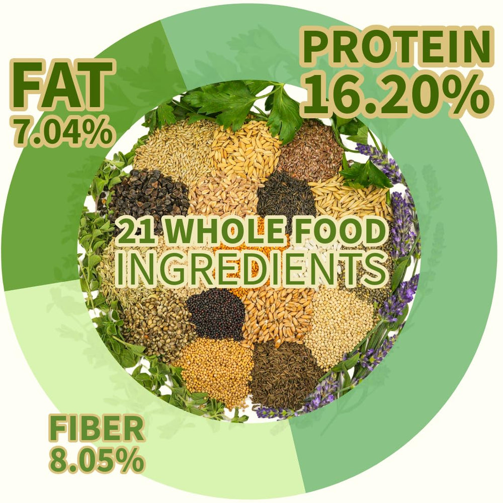 KikiBirds Premium Parrot Food no-fillers close-up highlights pure ingredients.