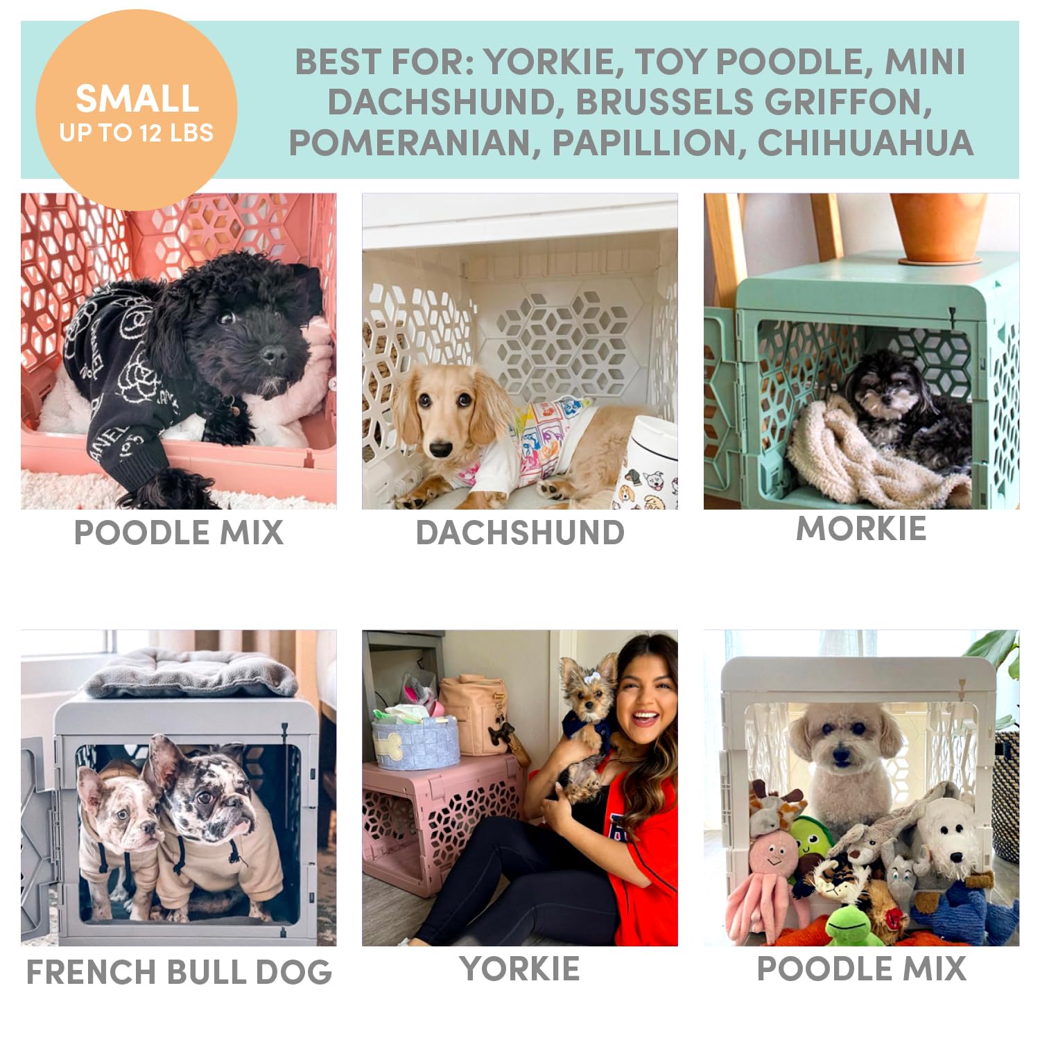 KindTail PAWD uso versátil en interiores y viajes como rincón seguro.