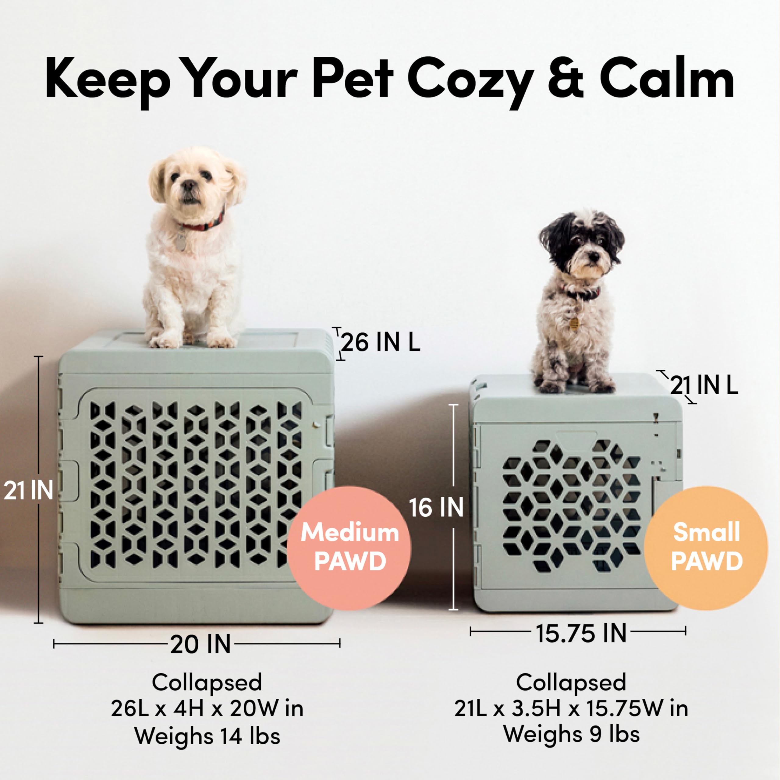 KindTail PAWD puerta abierta o cerrada, seguridad adaptable para tu mascota.