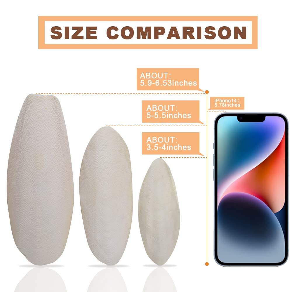 KINGMO dimensiones 5.9–6.53 pulgadas, tamaño práctico para aves de tamaño variado.