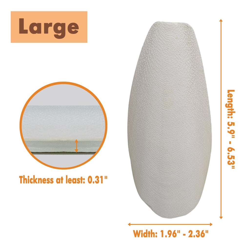 KINGMO soporte plástico para cuttlebone, mantiene la pieza estable durante la comida.
