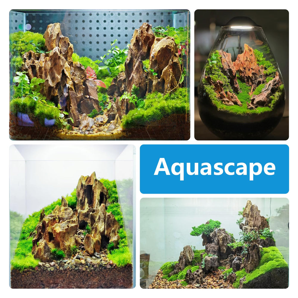 Kingrui Dragon Stone refugios para peces y camarones