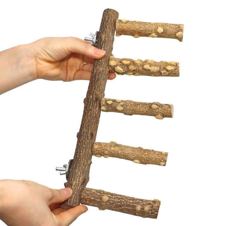 KINTOR escalera de 12,2 pulgadas, tamaño ideal para aves pequeñas.