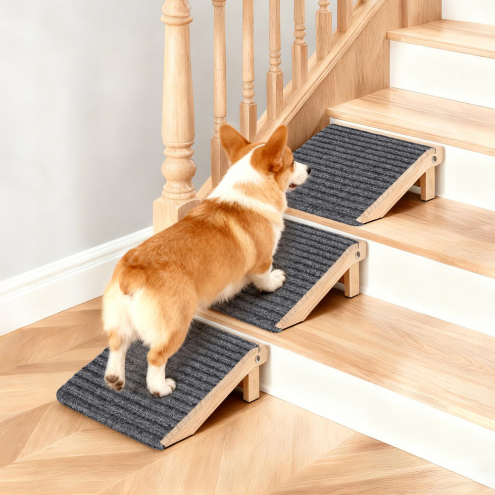 KISIMUY escalera-perro antideslizante interior facilita subir y bajar con seguridad.