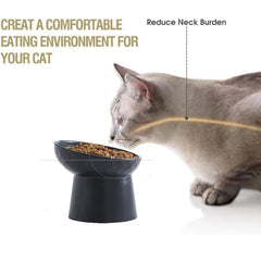 KITCHENLESTAR: tazon gato base estable, evita derrames durante las comidas.