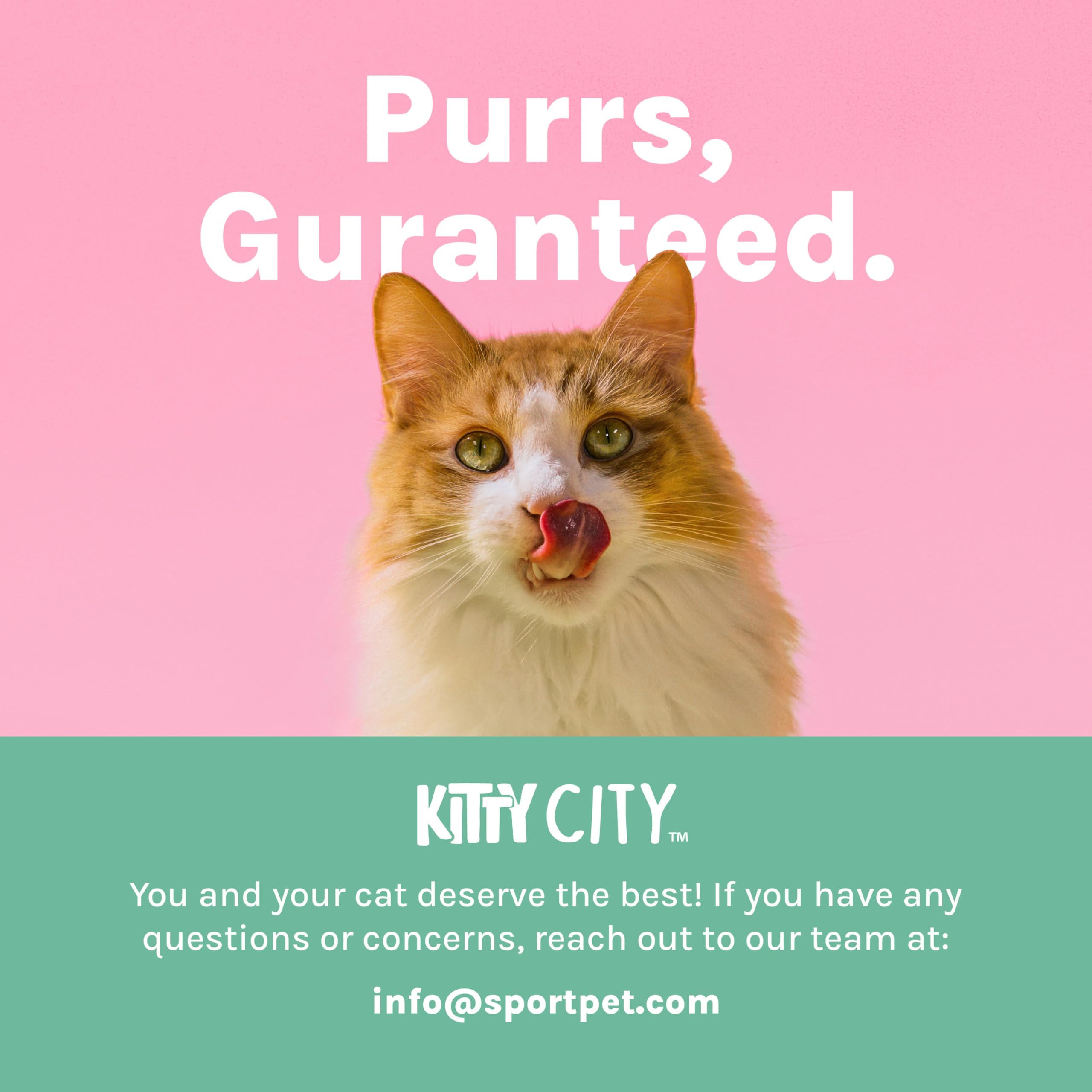 Kitty City cartón reciclable tras desgaste, opción ecológica