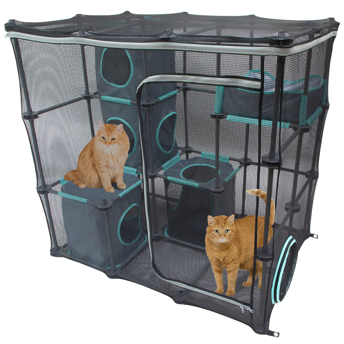 Kitty City Exterior Catio Mega Kit: puerta de acceso fácil para supervisión y juego al aire libre.