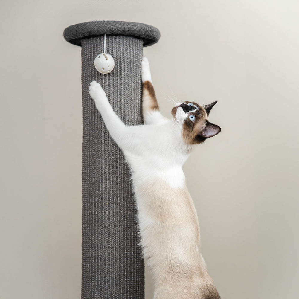 Kitty City juguete campana colgante para estimulación y juego.