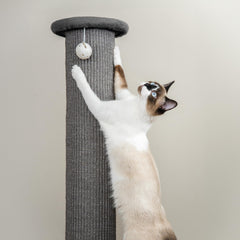 Kitty City juguete campana colgante para estimulación y juego.