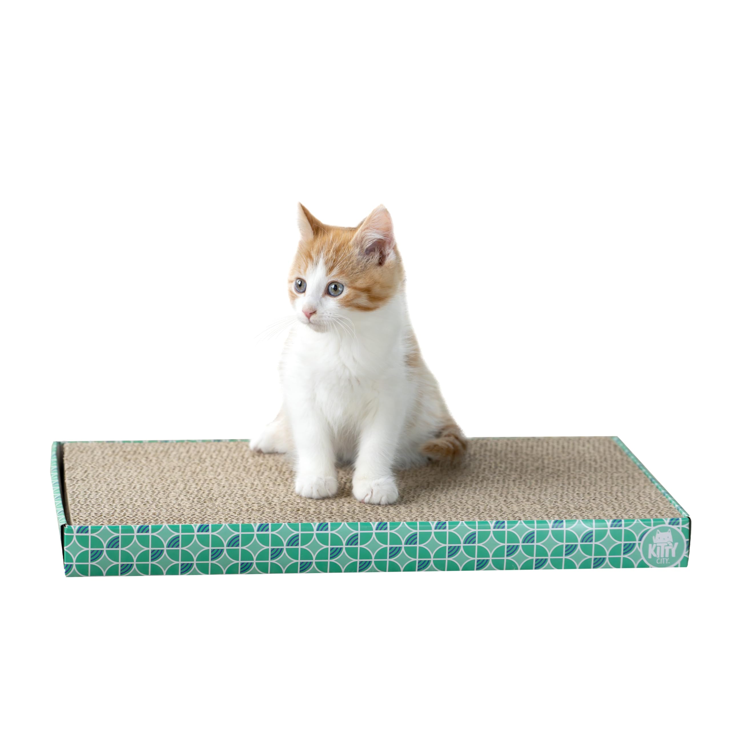 Kitty City protege muebles al ofrecer un punto de rascar seguro