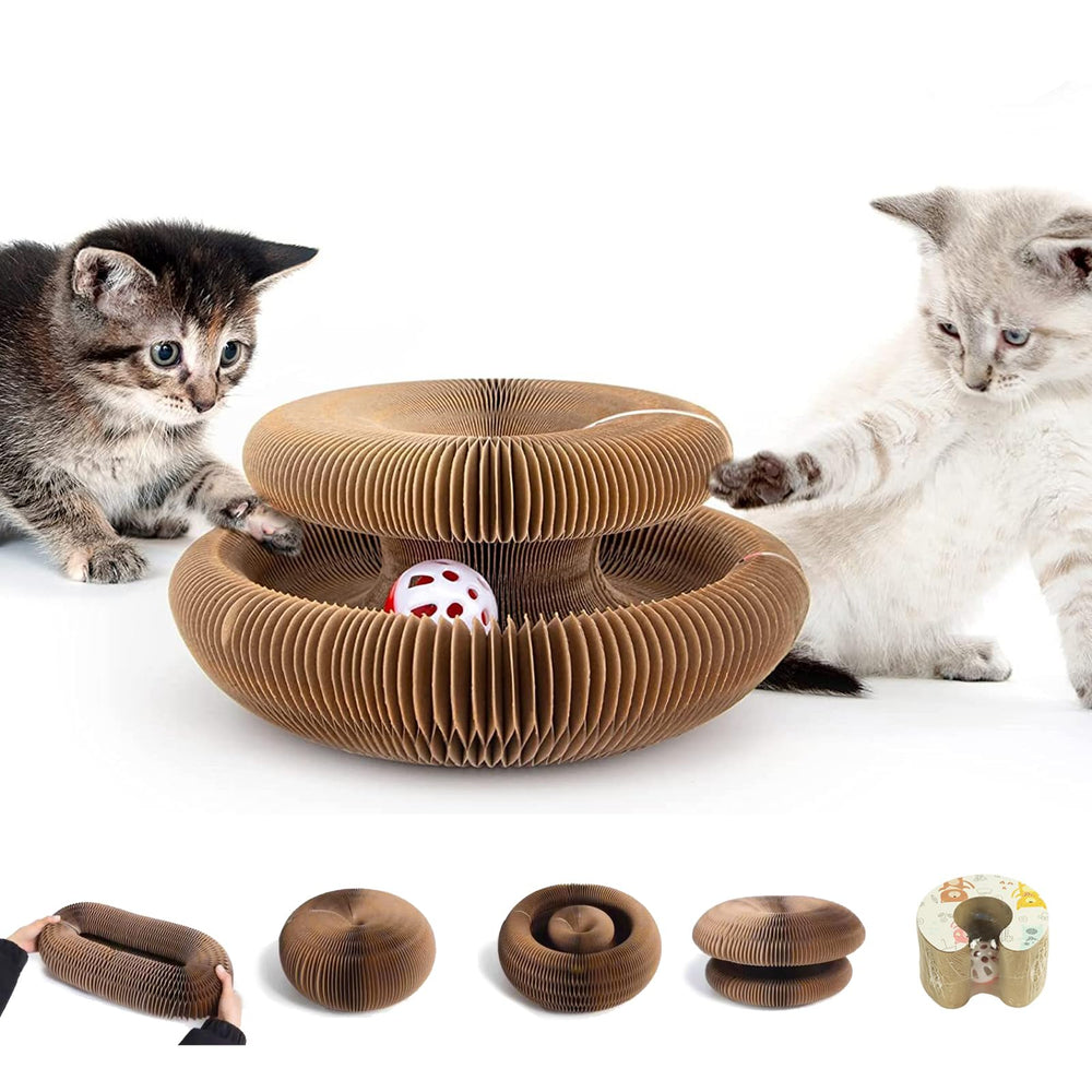 Kitty Curlz tableros de rascar con forma mágica para gatos, estimula juego y descanso.