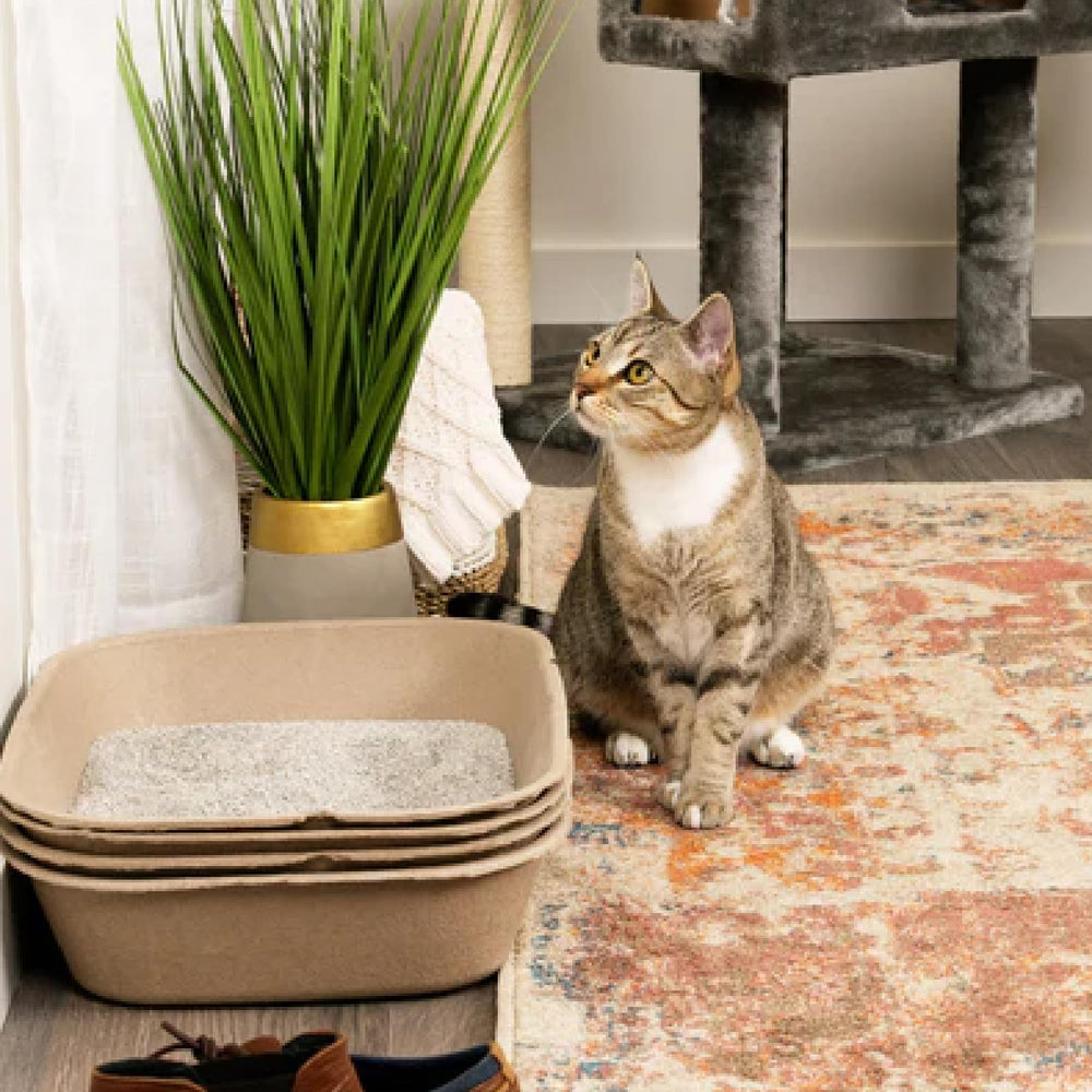Kitty Sift apertura amplia facilita la limpieza.