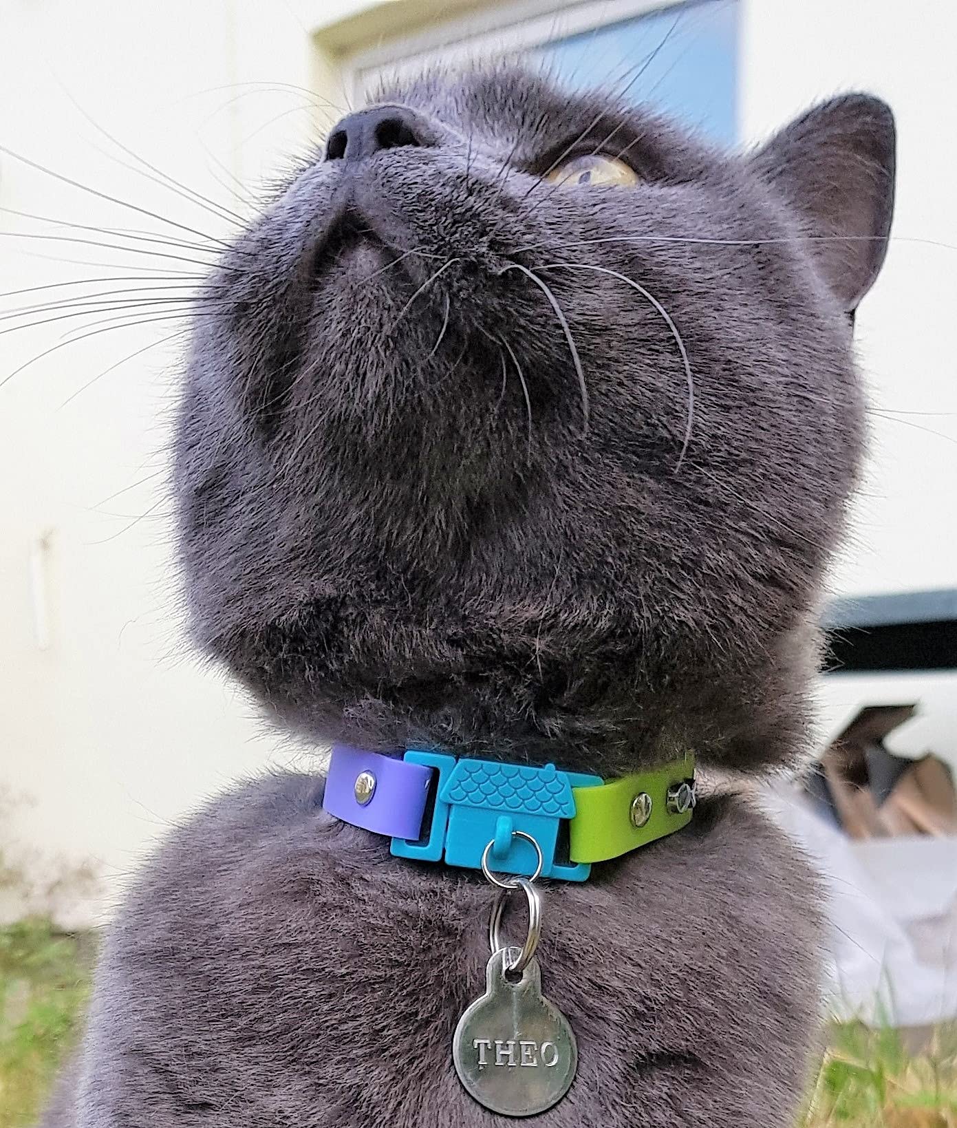 Kittyrama collar hipoalergenico, ayuda a minimizar irritaciones en el cuello.