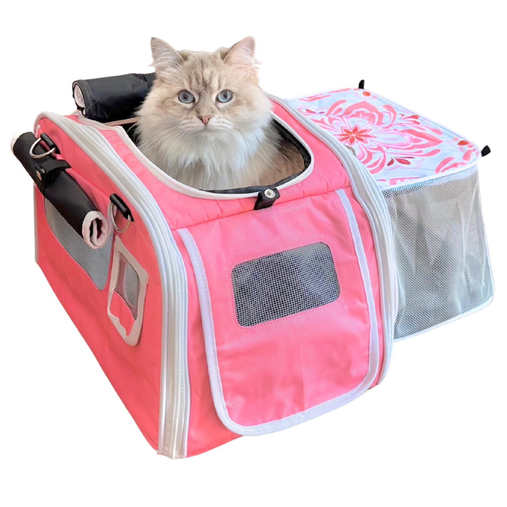 Kittyrama transportadora de gato, entrada superior para acceso cómodo