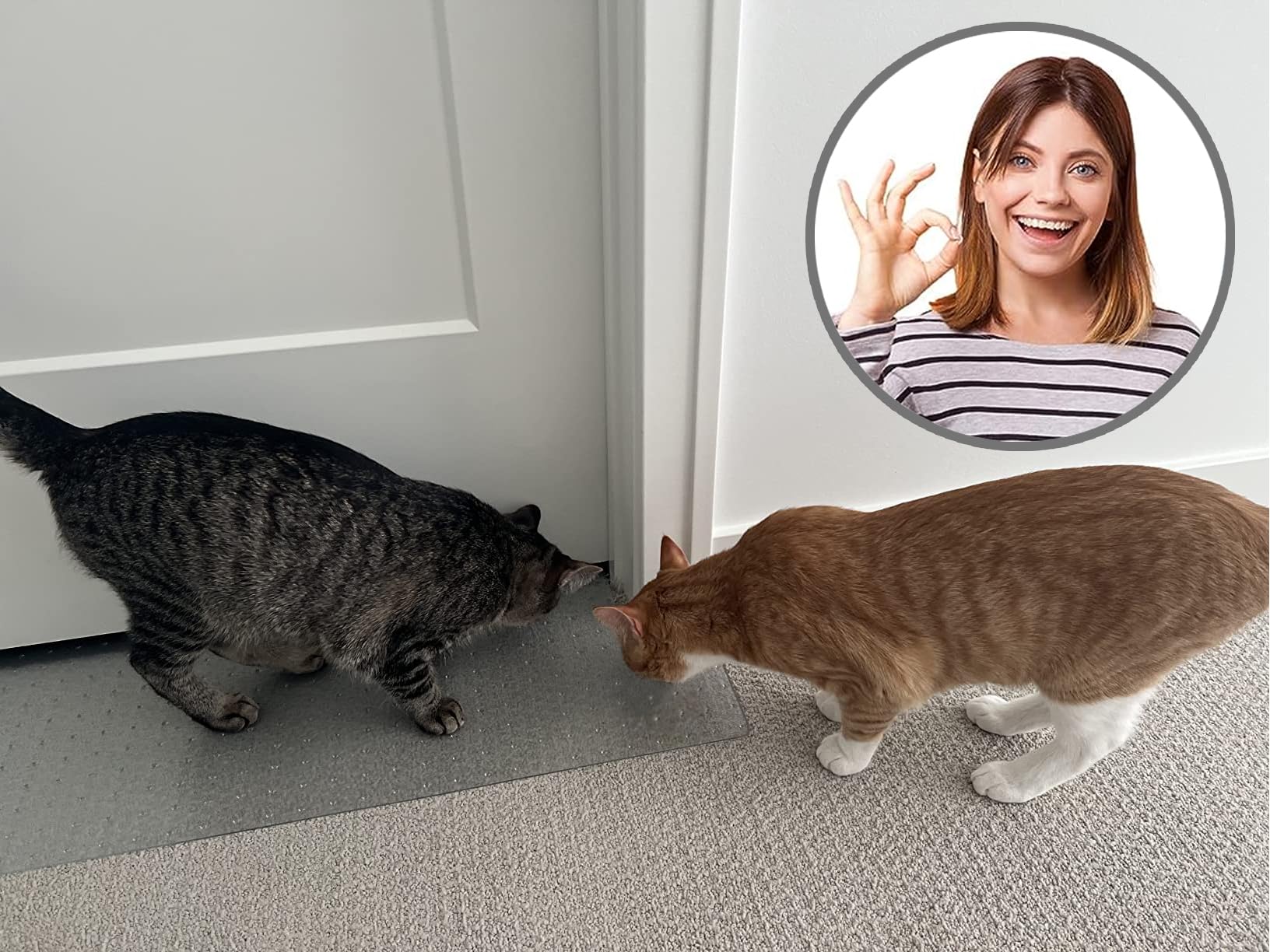 Fácil de limpiar y reciclable, ideal para hogares con gatos