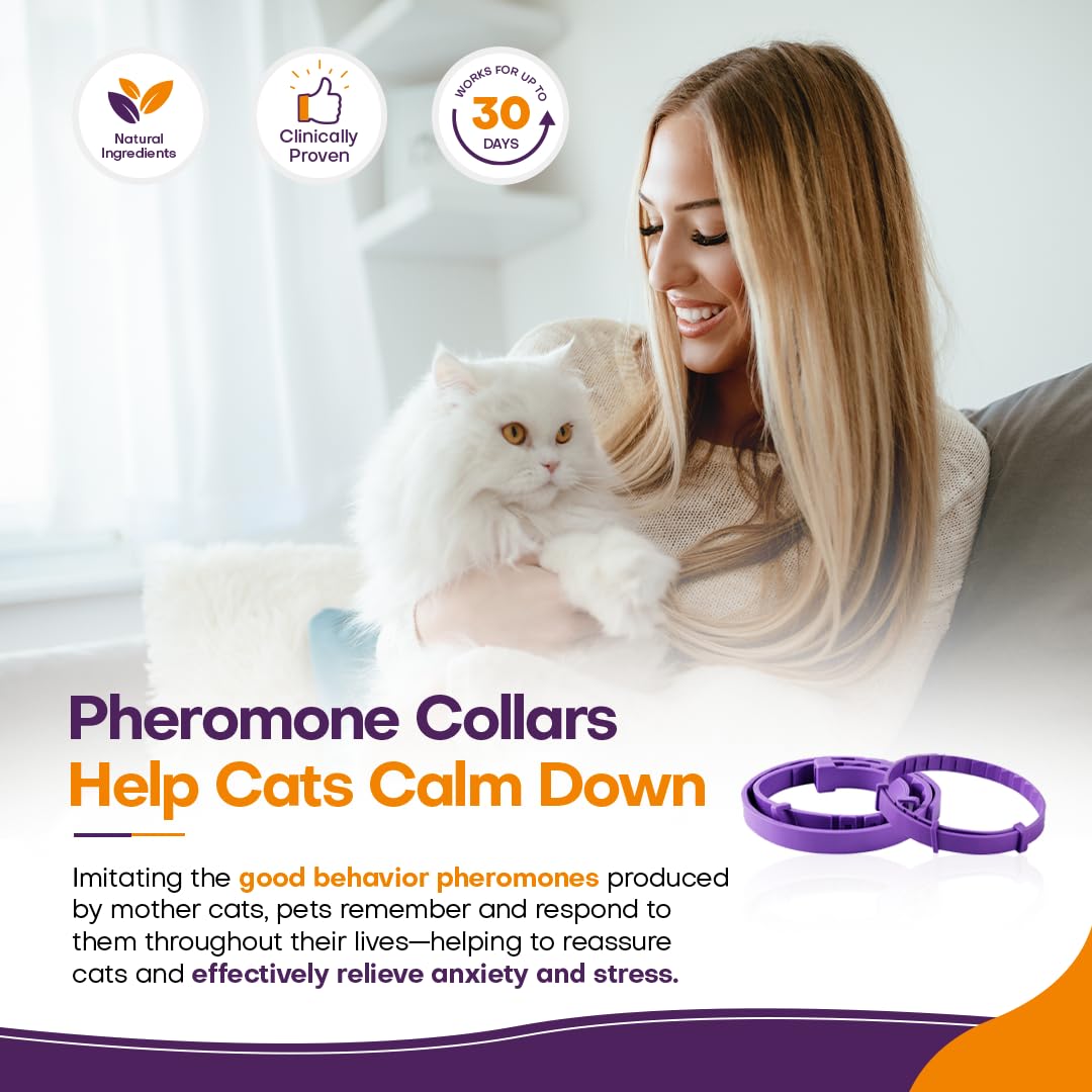 Klioak collar calmante resistente al agua para gatos