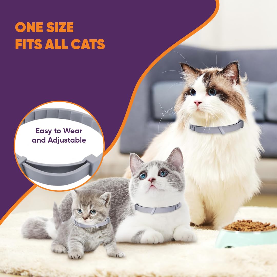 Empaque Klioak con pack de 6, listo para distribución entre varios gatos.