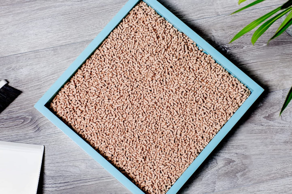 KOCHO Hinoki: sin polvo para un hogar más limpio y ordenado.