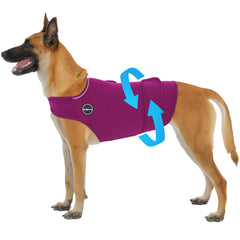 Kodervo chaleco ansiedad para perros con cierre doble, aporta sensación calmante durante eventos estresantes.