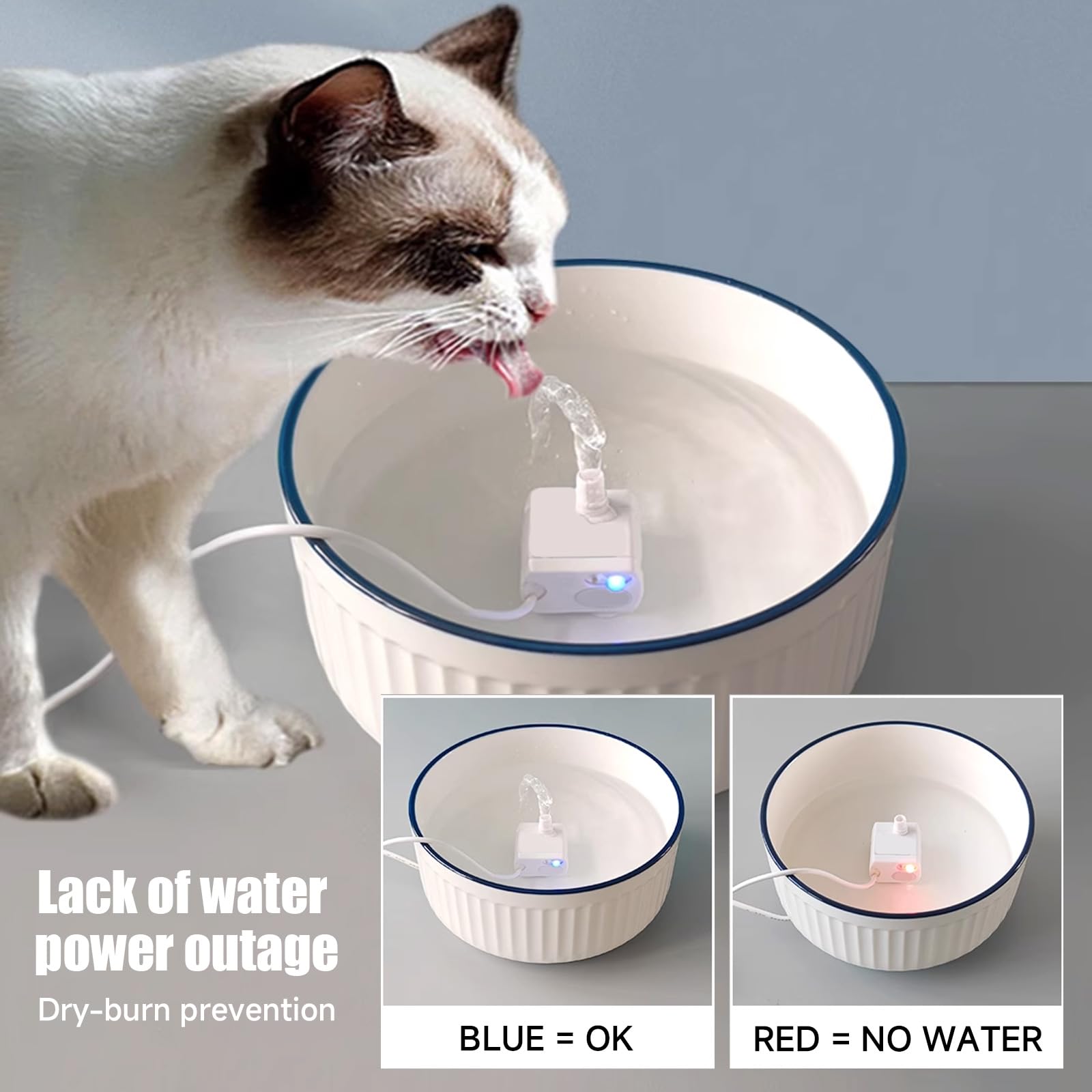 Bomba Kodrily con luz azul para fuente de gatos, aspecto atractivo.