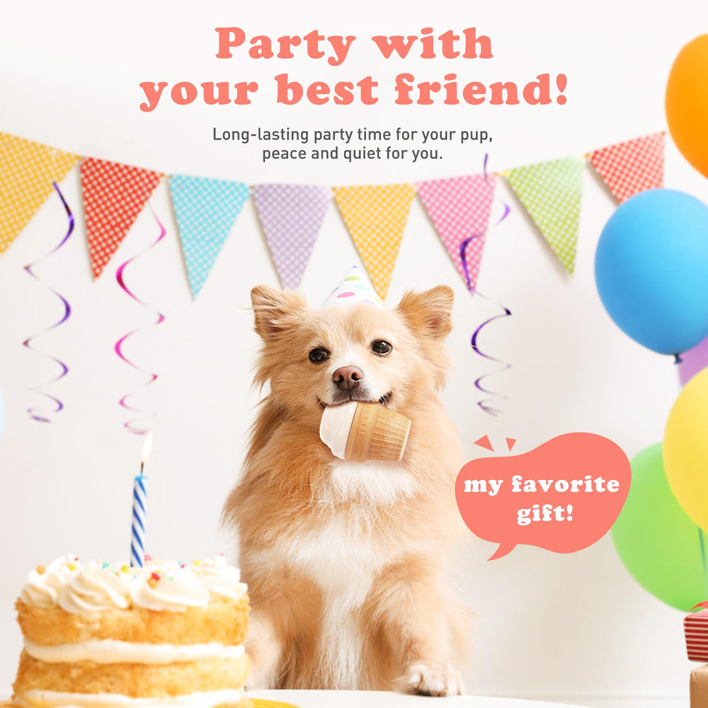 Kogven regalo de aniversario para perro, idea divertida.