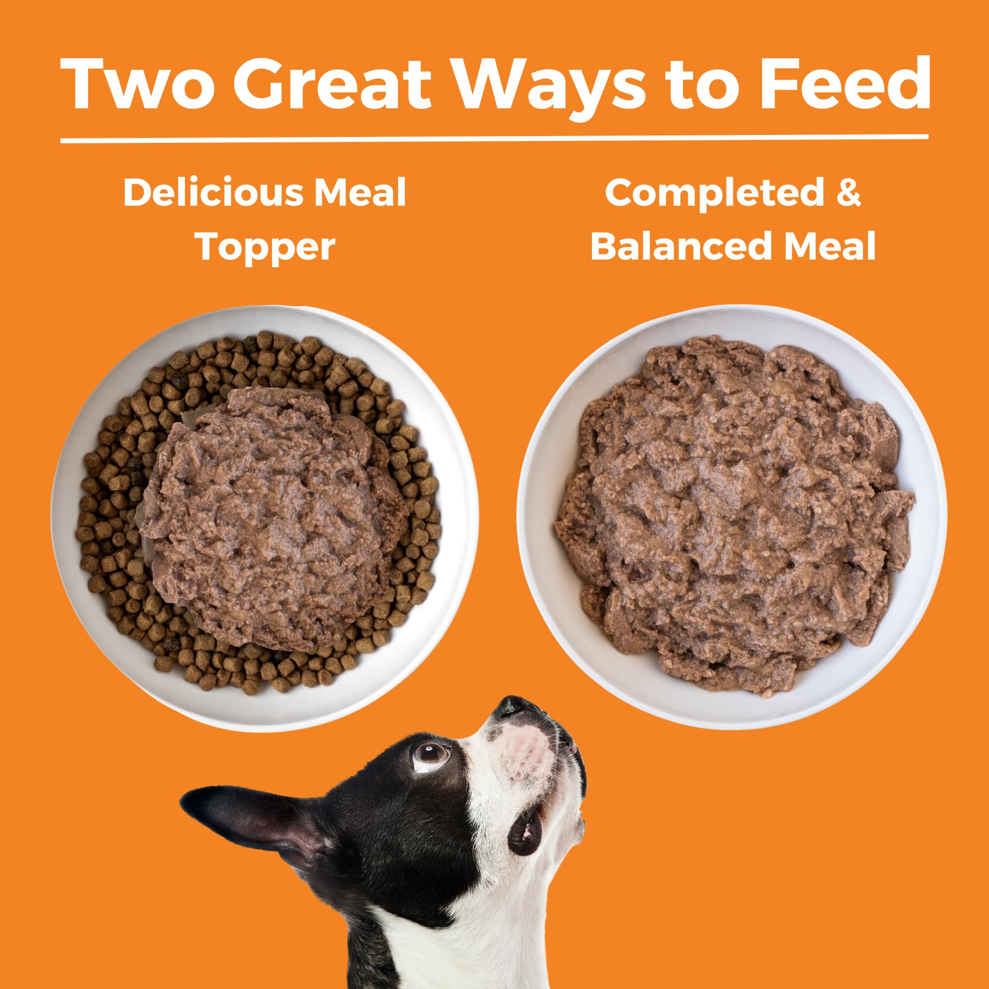 KOHA comida húmeda para perros pate, textura suave para una alimentación sabrosa.