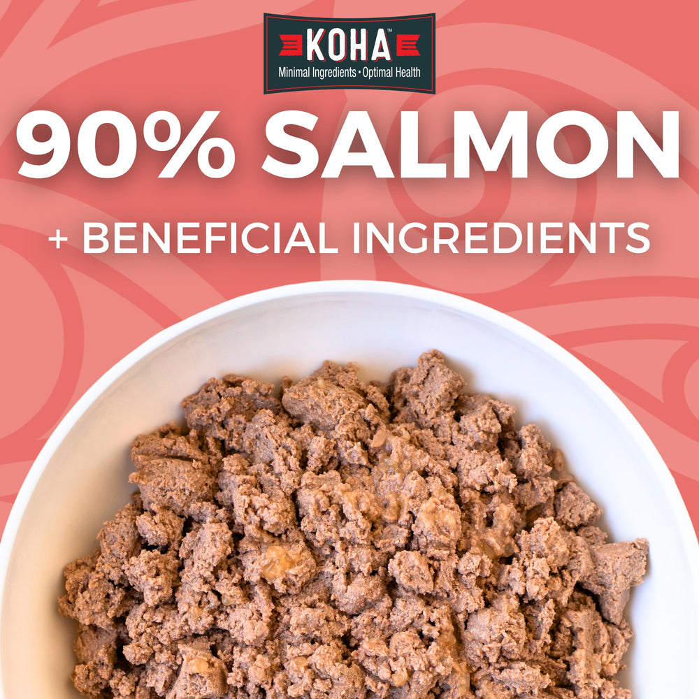 KOHA Salmon Entree etiqueta de lata, presentación de calidad para dietas sensibles.