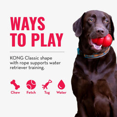 KONG Aqua tamaño mediano para perros de 7 a 16 kg