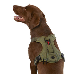 KONG arnés ultradurable con dispensador de bolsas para paseos con control