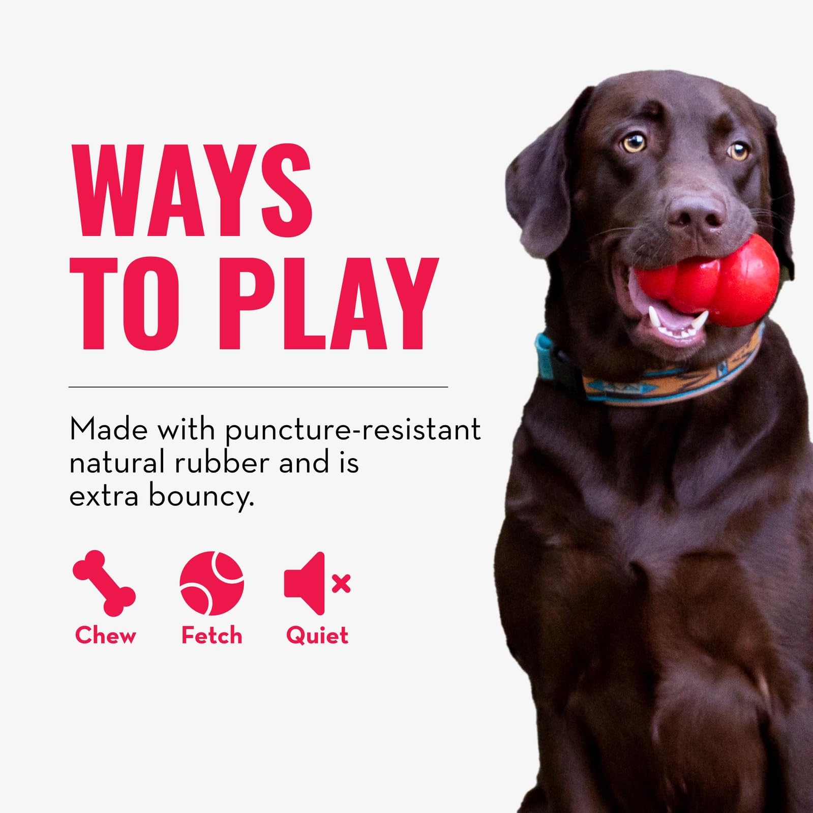 KONG Bola con Rebote Alto para perros activos en casa