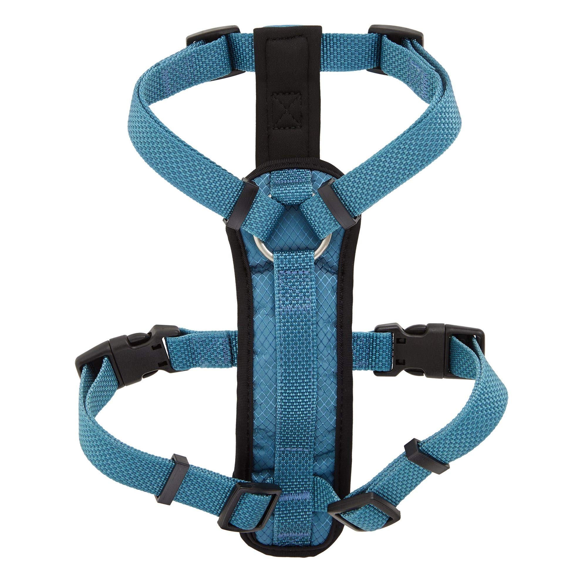 KONG arnés acolchado azul, vista trasera, soporte cómodo para el torso en caminatas.