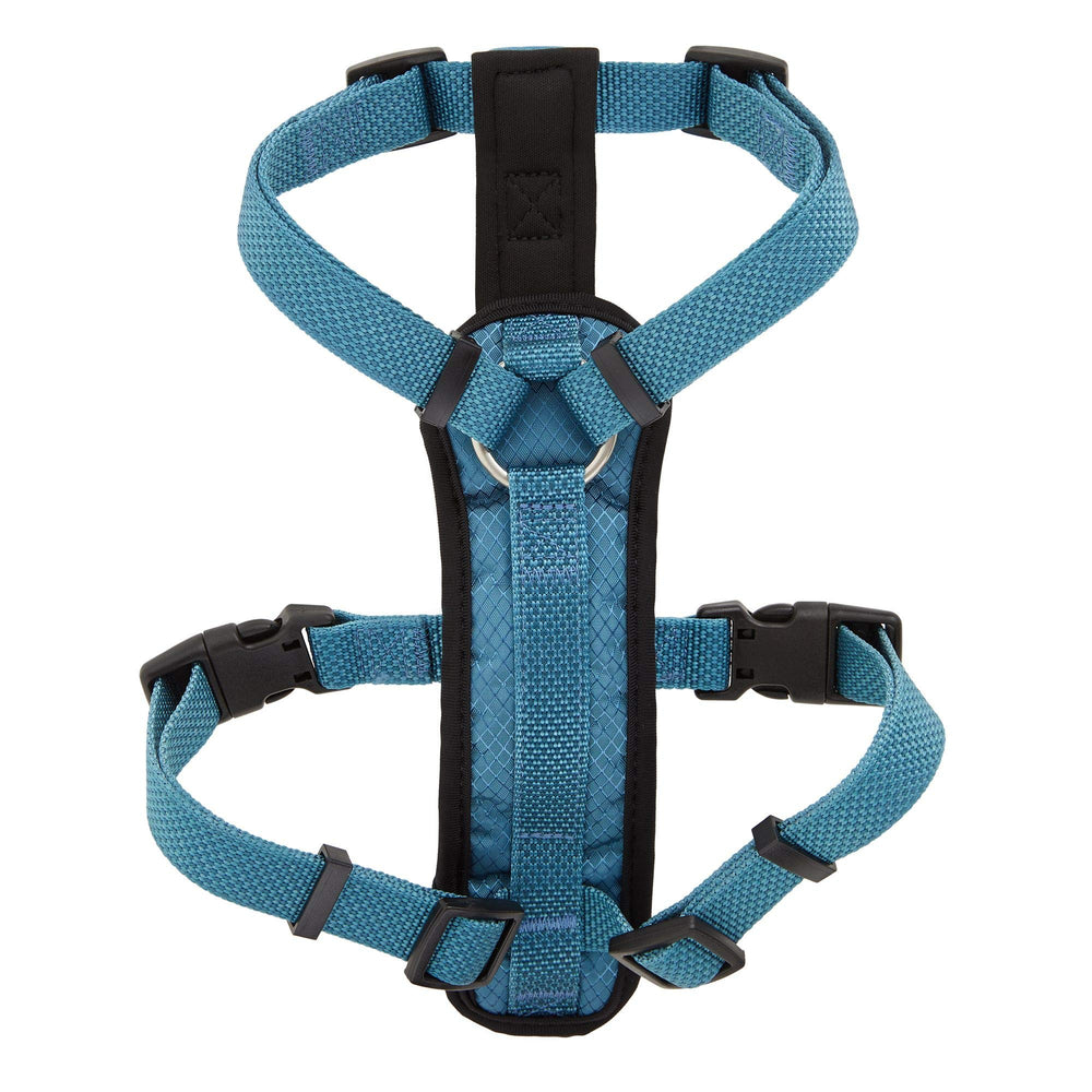 KONG arnés acolchado azul, vista trasera, soporte cómodo para el torso en caminatas.
