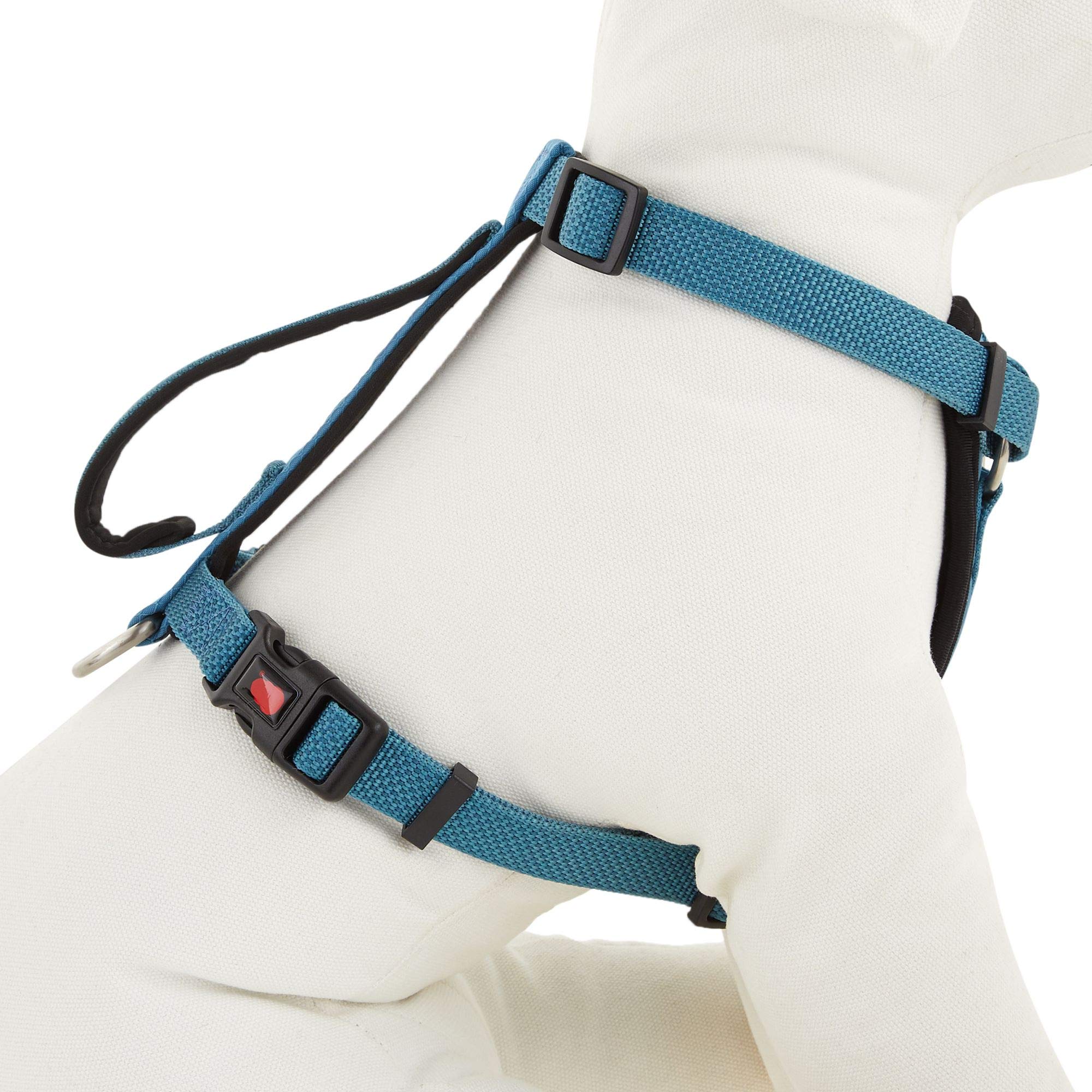 KONG arnés acolchado azul, vista frontal, ideal para paseos diarios.