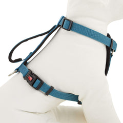 KONG arnés acolchado azul, vista frontal, ideal para paseos diarios.
