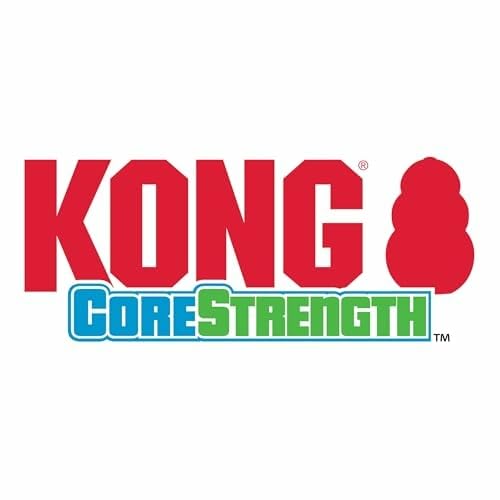 KONG CoreStrength Hueso Dental conjunto para perros medianos y grandes