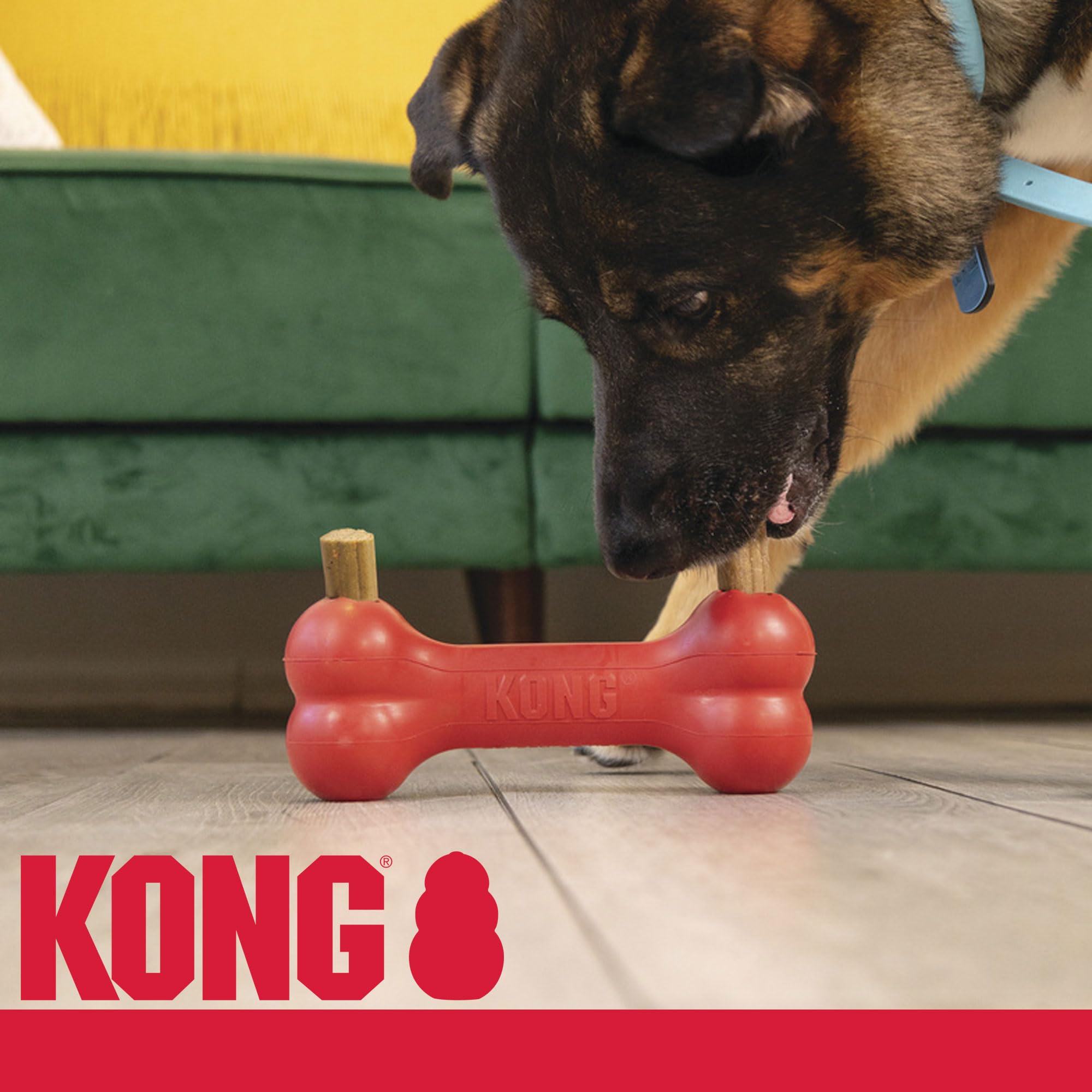 KONG Enhanced Ziggies: alga marina PhytoDent enriquecida aporta sabor natural y nutrientes.