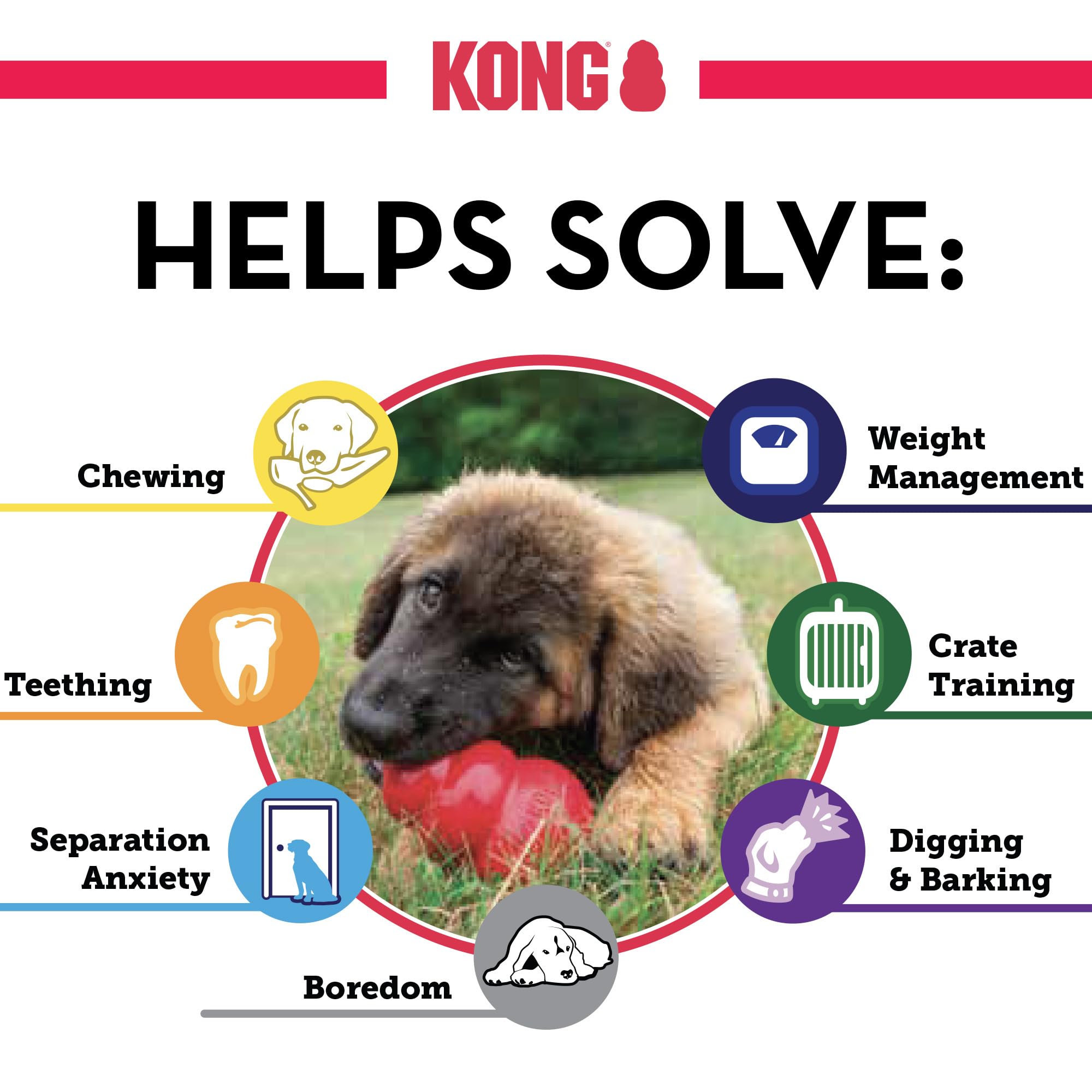 KONG enriquecimiento para perros durante el juego.