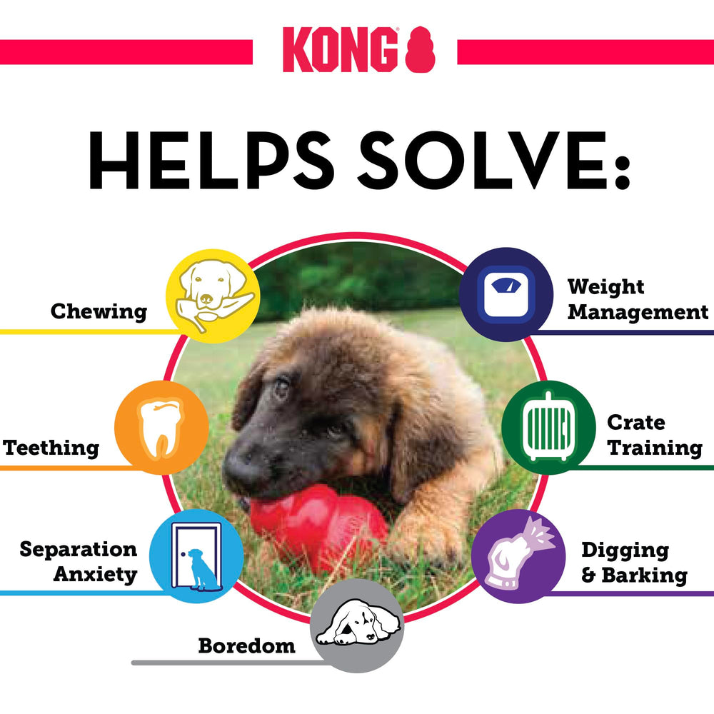 KONG enriquecimiento para perros durante el juego.