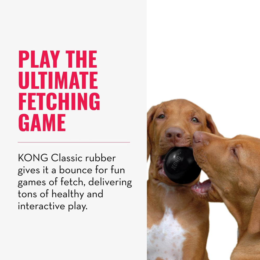 KONG Extreme Ball para entrenamiento y juego interactivo de perros.
