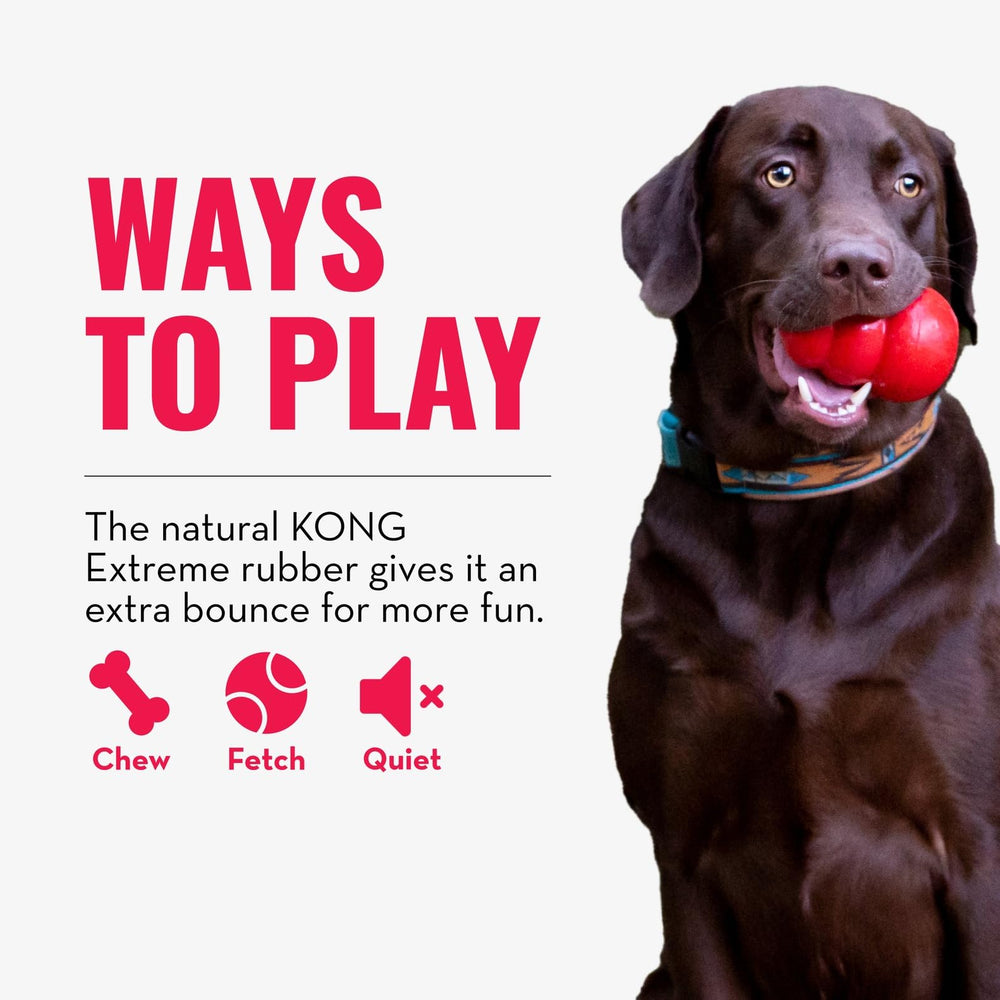 KONG Extreme Ball resistente a perforaciones para juego seguro.