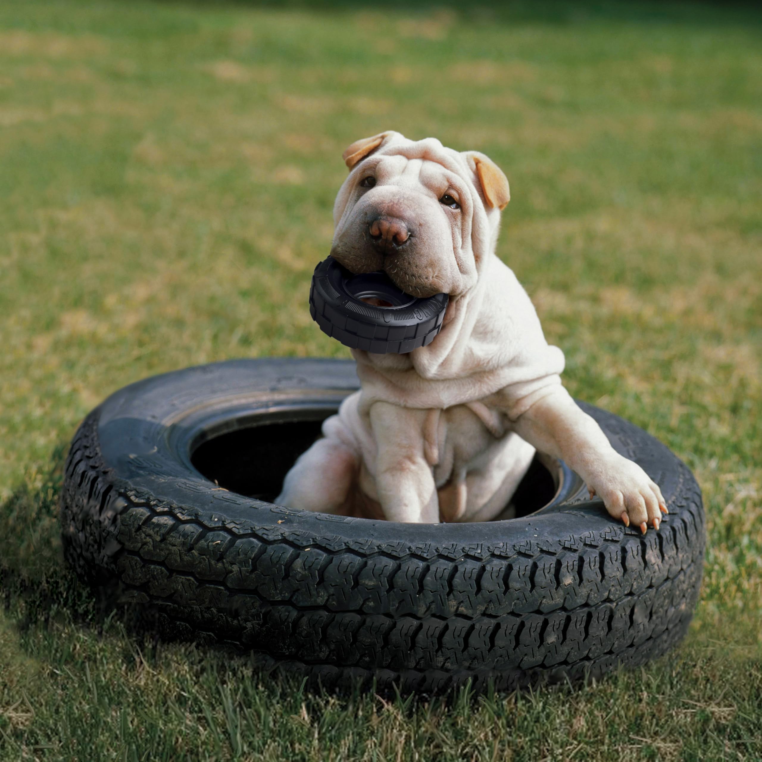 KONG Extreme Tires con rebote activo ideal para juegos de buscar