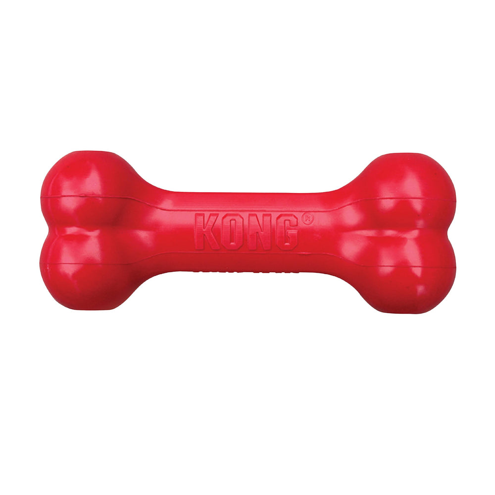 KONG Goodie Bone en mano, perfecto para estimular la interacción con perros pequeños