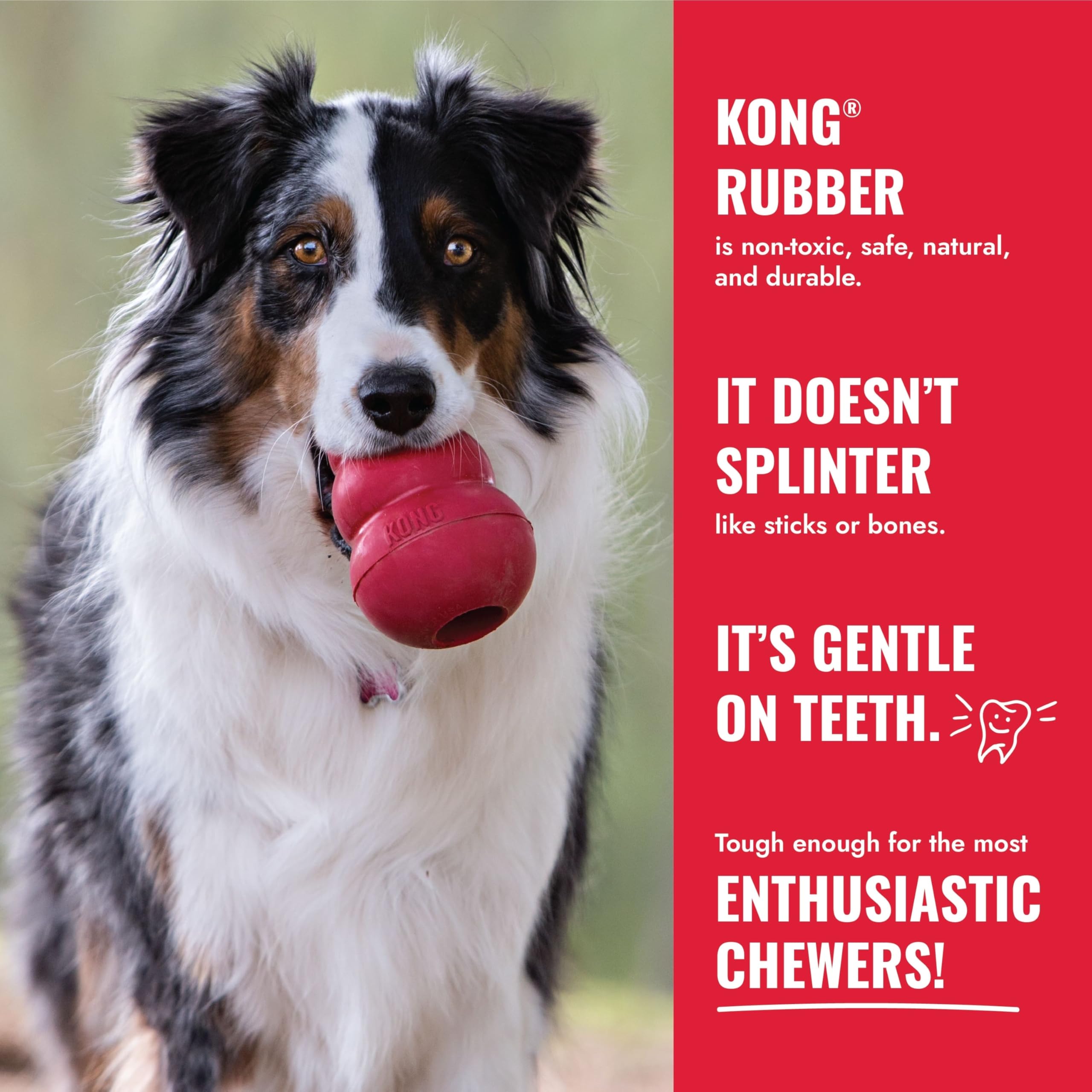 KONG Goodie Bone forma clásica, juguete estable y seguro