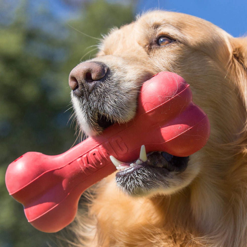 KONG Goodie Bone para perros grandes ofrece diversión y estimulación mental.