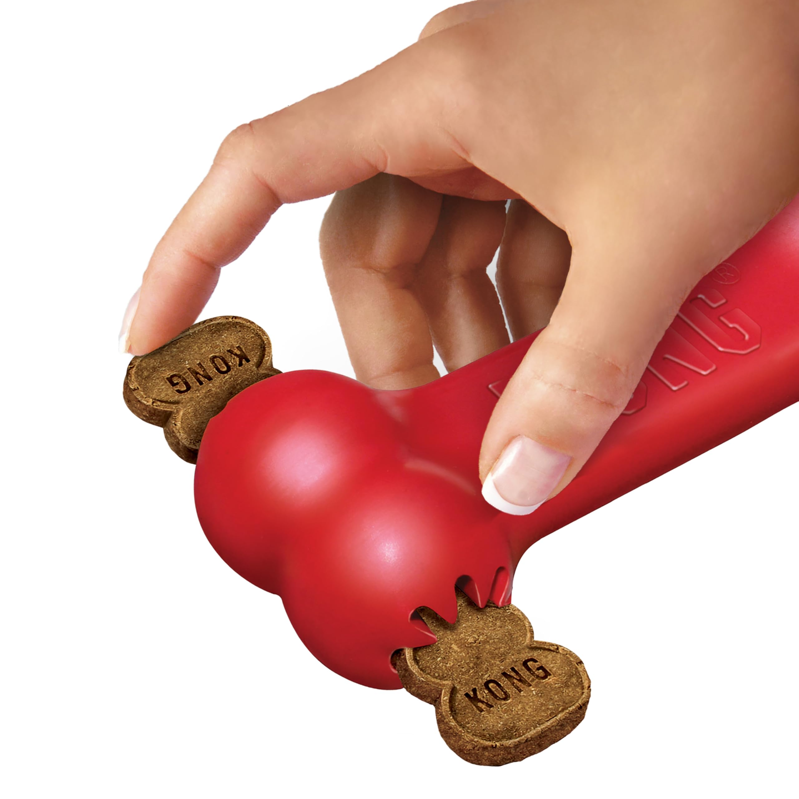 KONG Goodie Bone rojo en uso diario para perros pequeños