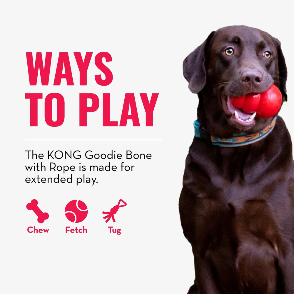 KONG hueso rosado para cachorros, juego seguro.