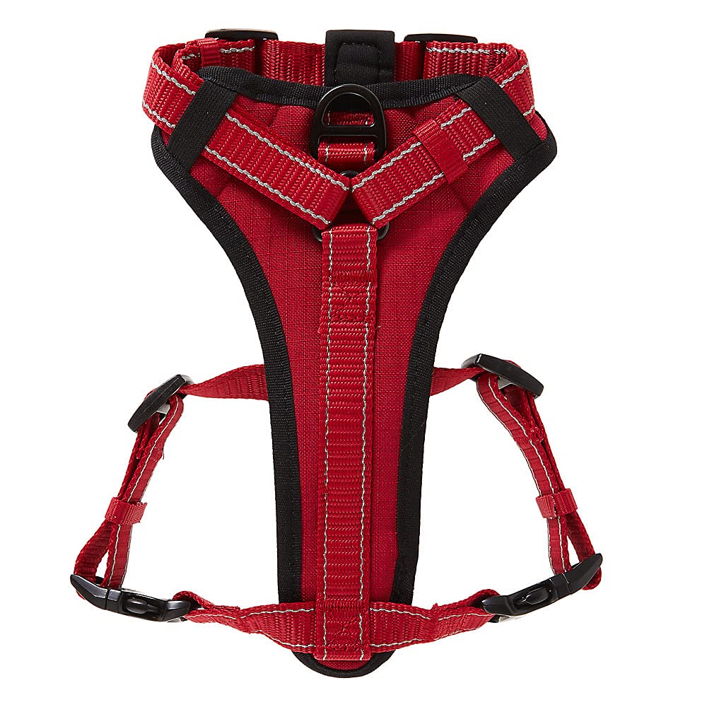 KONG arnés, manija neopreno para control suave durante paseos.