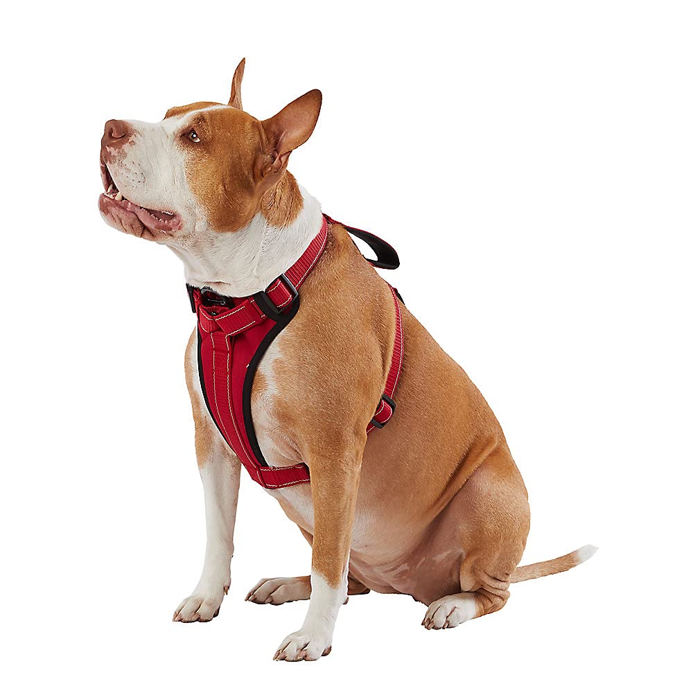 KONG Max arnés de neopreno, vista frontal, cómodo y seguro para paseos diarios.