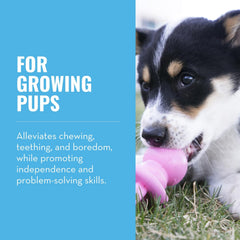 KONG Puppy Binkie: intérieur creux idéal pour garnir friandises et prolonger le jeu.